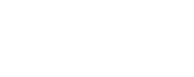 Stravere logo